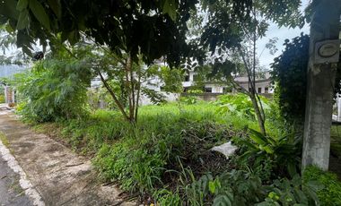 Riverwalk Lot For Sale