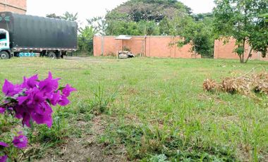 Se Vende Lote en Rozo, Ubicado en la Torre,Palmira, Valle del Cauca, Colombia.