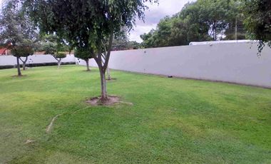 Departamento en Planta baja en renta en Torres Zavaleta