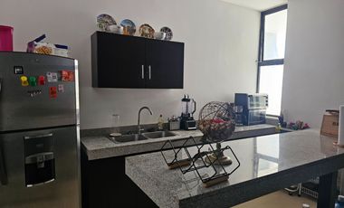 DEPARTAMENTO D 08 LOFTEB SRN15