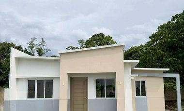 House for sale in Palawan, Puerto Princesa City