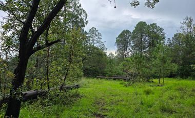 Terreno con Construcción en Quinta Andrea, Huasca de Ocampo – Inversión con Plusvalía