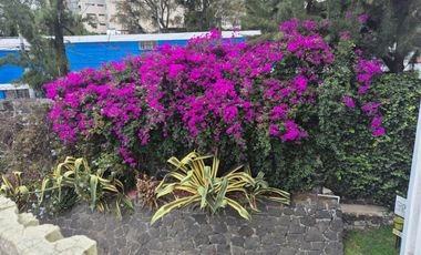 DEPARTAMENTO 3 RECAMARAS EN VENTA ENTRE EJE 8 Y AV SAN JERONIMO