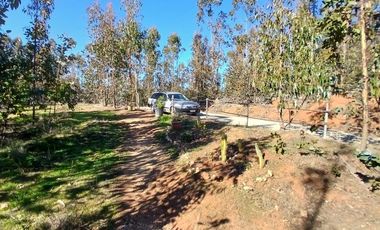 Casa Loteo Los Molles , Pichilemu