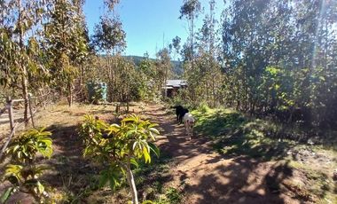 Casa Loteo Los Molles , Pichilemu