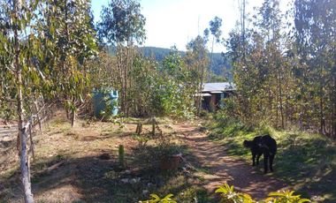 Casa Loteo Los Molles , Pichilemu