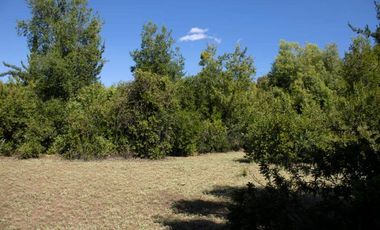 Compra tu parcela en un entorno natural,  en Vilches Alto, San Clemente,Región del Maule