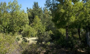 Compra tu parcela en un entorno natural,  en Vilches Alto, San Clemente,Región del Maule