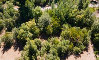 Compra tu parcela en un entorno natural,  en Vilches Alto, San Clemente,Región del Maule