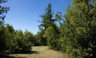 Compra tu parcela en un entorno natural,  en Vilches Alto, San Clemente,Región del Maule