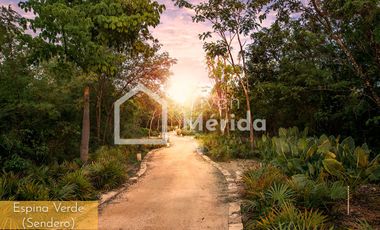 Departamento en renta en Meriden, Cabo Norte