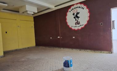 Terreno Comercial en Venta sobre Carretera Actopan - Ixmiquilpan