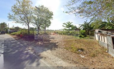 Commercial Lot for Sale along National Highway located Dampas, Tagbilaran City, Bohol