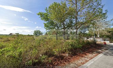 Commercial Lot for Sale along National Highway located Dampas, Tagbilaran City, Bohol