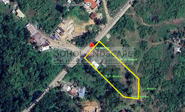 Commercial Lot for Sale along National Highway located Dampas, Tagbilaran City, Bohol