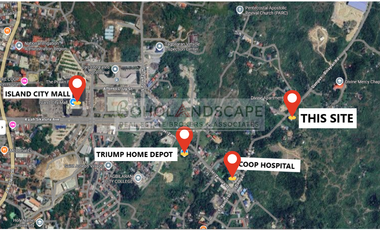 Commercial Lot for Sale along National Highway located Dampas, Tagbilaran City, Bohol