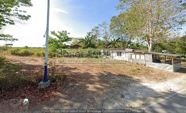 Commercial Lot for Sale along National Highway located Dampas, Tagbilaran City, Bohol