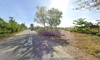 Commercial Lot for Sale along National Highway located Dampas, Tagbilaran City, Bohol