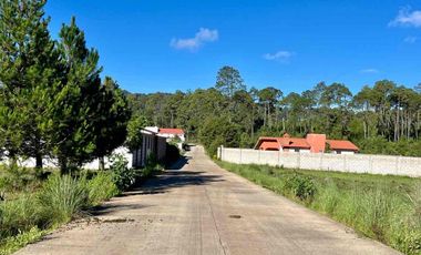 SE VENDEN HERMOSOS TERRENOS