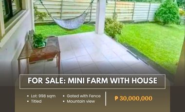 For Sale: Mini Farm With House located at San Pablo City Laguna
