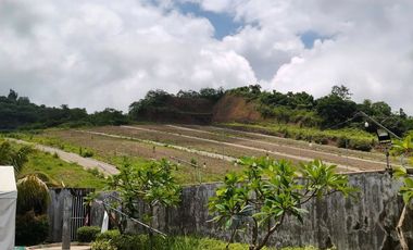 120 sqm Lot for Sale in Baras Rizal
