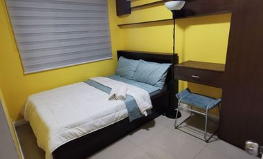 Rush Sale: 2BR Semi-furnished Condo Unit in Oasis, Ecoland