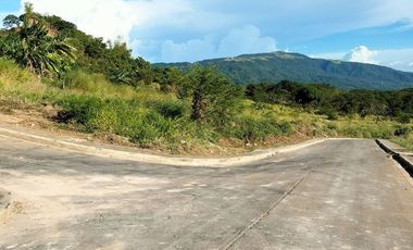 204 sqm Lot for Sale in Pililia Rizal