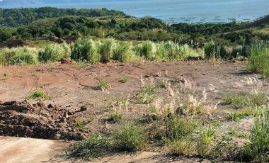 204 sqm Lot for Sale in Pililia Rizal