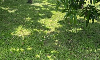 Terreno en Club de Golf Paraiso Tlahuica