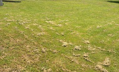 Terreno en Club de Golf Paraiso Tlahuica
