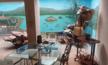 Rento casa para casa u oficinas en la Chapultepec sur