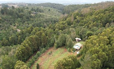 ¡Oportunidad en Venta – Parcela con Casa y Cabaña en Punucapa, a solo 17 km de Valdivia!