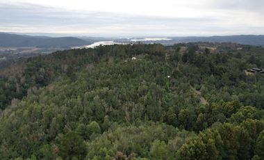 ¡Oportunidad en Venta – Parcela con Casa y Cabaña en Punucapa, a solo 17 km de Valdivia!