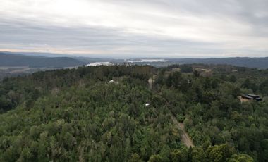 ¡Oportunidad en Venta – Parcela con Casa y Cabaña en Punucapa, a solo 17 km de Valdivia!