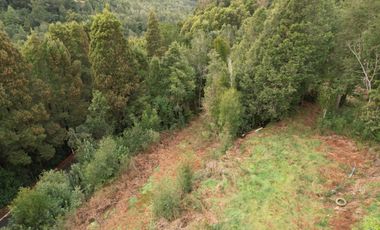 ¡Oportunidad en Venta – Parcela con Casa y Cabaña en Punucapa, a solo 17 km de Valdivia!