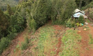 ¡Oportunidad en Venta – Parcela con Casa y Cabaña en Punucapa, a solo 17 km de Valdivia!