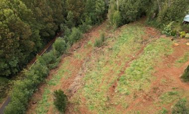 ¡Oportunidad en Venta – Parcela con Casa y Cabaña en Punucapa, a solo 17 km de Valdivia!