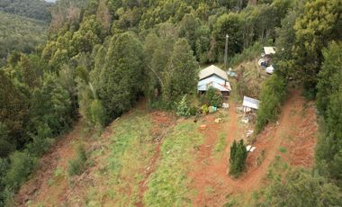 ¡Oportunidad en Venta – Parcela con Casa y Cabaña en Punucapa, a solo 17 km de Valdivia!