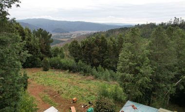 ¡Oportunidad en Venta – Parcela con Casa y Cabaña en Punucapa, a solo 17 km de Valdivia!
