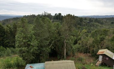 ¡Oportunidad en Venta – Parcela con Casa y Cabaña en Punucapa, a solo 17 km de Valdivia!