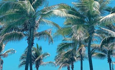 ACAPULCO DIAMANTE ISLA RESIDENCES PENT HOUSE MUY AMPLIO