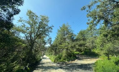 LOTE CAMPESTRE EN VENTA, CALICANTO REAL DEL MONTE