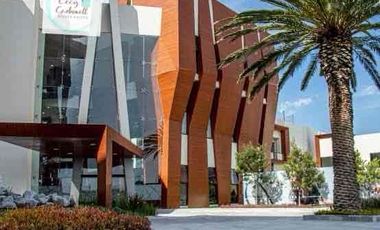 RENTA DEPARTAMENTO DOBLE ALTURA ALTEA LUXURY &LIVING