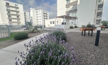 Arriendo departamento amoblado  hasta diciembre 2025, Portal Pacifico III, La Serena.
