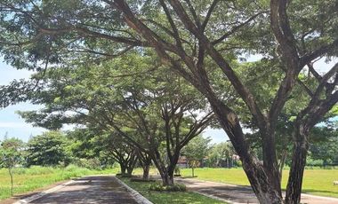 FOR SALE! Premier Commercial Lot near St. Scholasticas Bacolod-AP