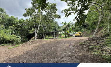 Antipolo, Rizal 5,000 SQM Residential Lot for Sale