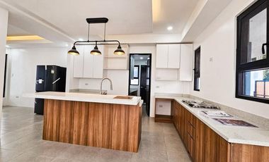 MODERN ELEGANT SINGLE DETACHED HOUSE AND LOT IN BF HOMES PARNAQUE CITY