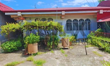 Residential Lot for Sale in Brgy. Nancamaliran East, Urdaneta City, Pangasinan