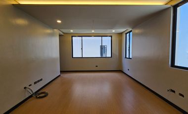 BRAND NEW MODERN SEMI- FURNISHED SINGLE DETACHED HOUSE AND LOT IN BF HOMES PARAÑAQUE CITY