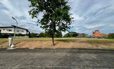 Repriced! Lot For Sale - Ayala Southvale Primera